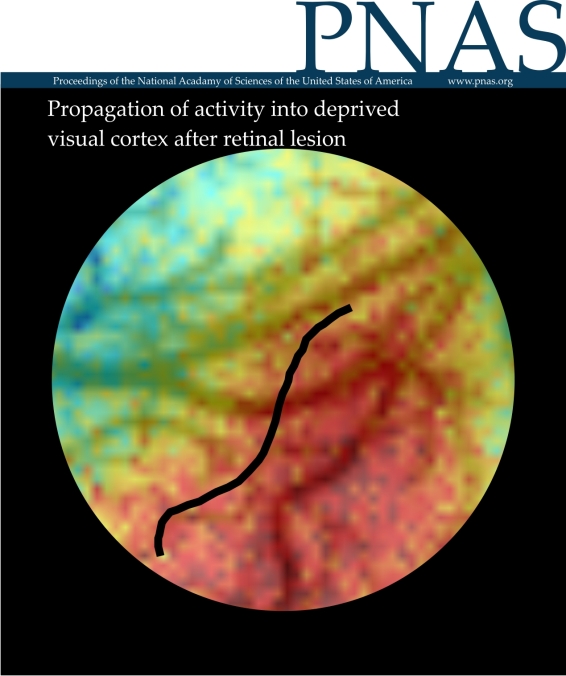 PNAS_cover_suggestion