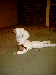 bild05