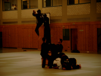 Budogala 03