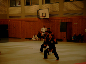 Budogala 04