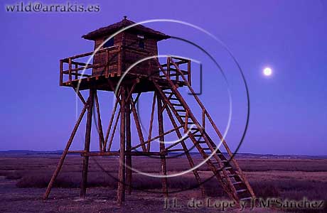 High tower for bird watching. Gallocanta Lagoon. SPAIN                         / 9.1-1399