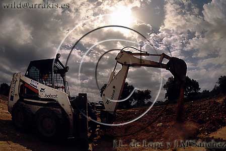 Digger destroying a holmoak 