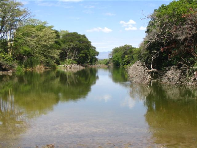 Pangani River