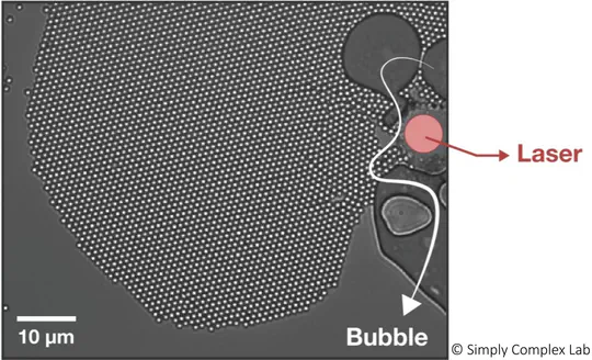 Dynamic Self-Assembly