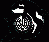 09 Orcas
